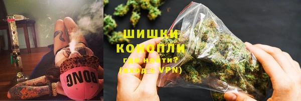 прущие грибы Красноперекопск