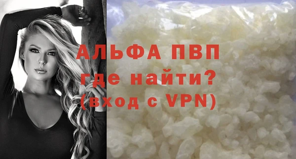 спиды Кукмор