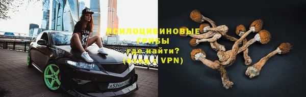 дживик Козельск