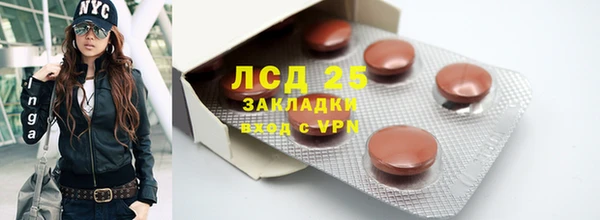 прущие грибы Красноперекопск