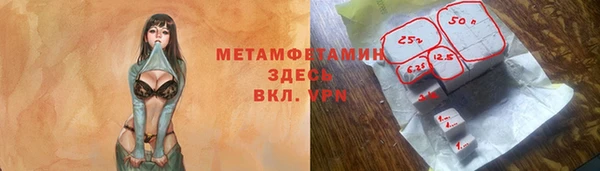 прущие грибы Красноперекопск