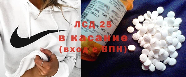 прущие грибы Красноперекопск